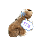 さぶやんが飼ってるLuke（個別スタンプ：10）