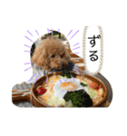 さぶやんが飼ってるLuke（個別スタンプ：14）