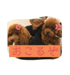 さぶやんが飼ってるLuke（個別スタンプ：21）