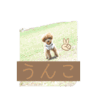 さぶやんが飼ってるLuke（個別スタンプ：24）