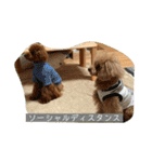 さぶやんが飼ってるLuke（個別スタンプ：29）