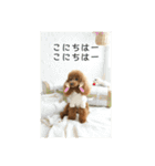 さぶやんが飼ってるLuke（個別スタンプ：32）