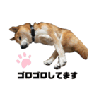 竜愛・奏海スタンプ（個別スタンプ：13）