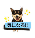 竜愛・奏海スタンプ（個別スタンプ：20）