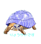 アニマルイラスト第3弾です（個別スタンプ：5）