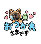 あびちゃんとなかまたち（個別スタンプ：1）