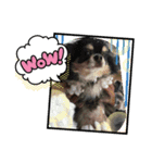あびちゃんとなかまたち（個別スタンプ：2）
