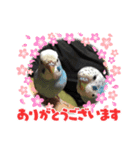 あびちゃんとなかまたち（個別スタンプ：7）