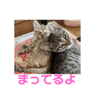 アラカリロ2（個別スタンプ：6）