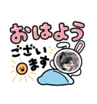 あびふみ（個別スタンプ：3）