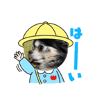 あびふみ（個別スタンプ：5）