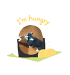 あびふみ（個別スタンプ：7）