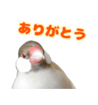 おかえりファミリー2（個別スタンプ：1）