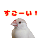 おかえりファミリー2（個別スタンプ：2）