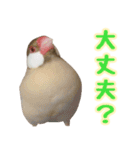 おかえりファミリー2（個別スタンプ：3）