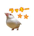おかえりファミリー2（個別スタンプ：5）
