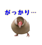 おかえりファミリー2（個別スタンプ：6）