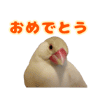 おかえりファミリー2（個別スタンプ：7）
