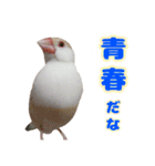 おかえりファミリー2（個別スタンプ：8）