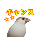 おかえりファミリー2（個別スタンプ：10）