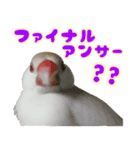 おかえりファミリー2（個別スタンプ：11）
