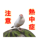 おかえりファミリー2（個別スタンプ：13）