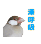 おかえりファミリー2（個別スタンプ：14）