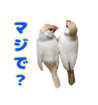おかえりファミリー2（個別スタンプ：15）