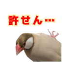 おかえりファミリー2（個別スタンプ：16）