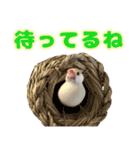 おかえりファミリー2（個別スタンプ：17）