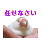 おかえりファミリー2（個別スタンプ：18）