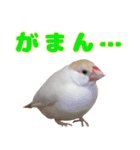 おかえりファミリー2（個別スタンプ：20）