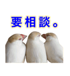 おかえりファミリー2（個別スタンプ：23）