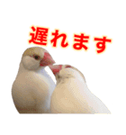 おかえりファミリー2（個別スタンプ：24）