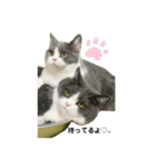 PALUBOU＆MOCA（個別スタンプ：1）