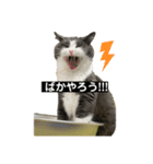 PALUBOU＆MOCA（個別スタンプ：2）