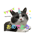 PALUBOU＆MOCA（個別スタンプ：15）