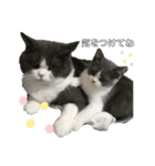 PALUBOU＆MOCA（個別スタンプ：23）