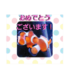 アクアリウムりんこ1（個別スタンプ：7）