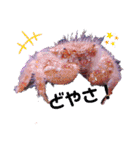 アクアリウムりんこ1（個別スタンプ：10）