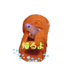 アクアリウムりんこ1（個別スタンプ：12）
