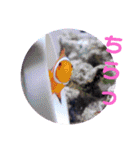 アクアリウムりんこ1（個別スタンプ：20）
