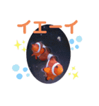 アクアリウムりんこ1（個別スタンプ：21）