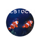 アクアリウムりんこ1（個別スタンプ：22）