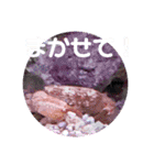 アクアリウムりんこ1（個別スタンプ：23）