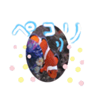 アクアリウムりんこ1（個別スタンプ：27）