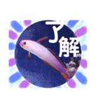 アクアリウムりんこ1（個別スタンプ：30）