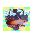 アクアリウムりんこ1（個別スタンプ：32）