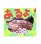 アクアリウムりんこ1（個別スタンプ：34）