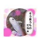 アクアリウムりんこ1（個別スタンプ：36）